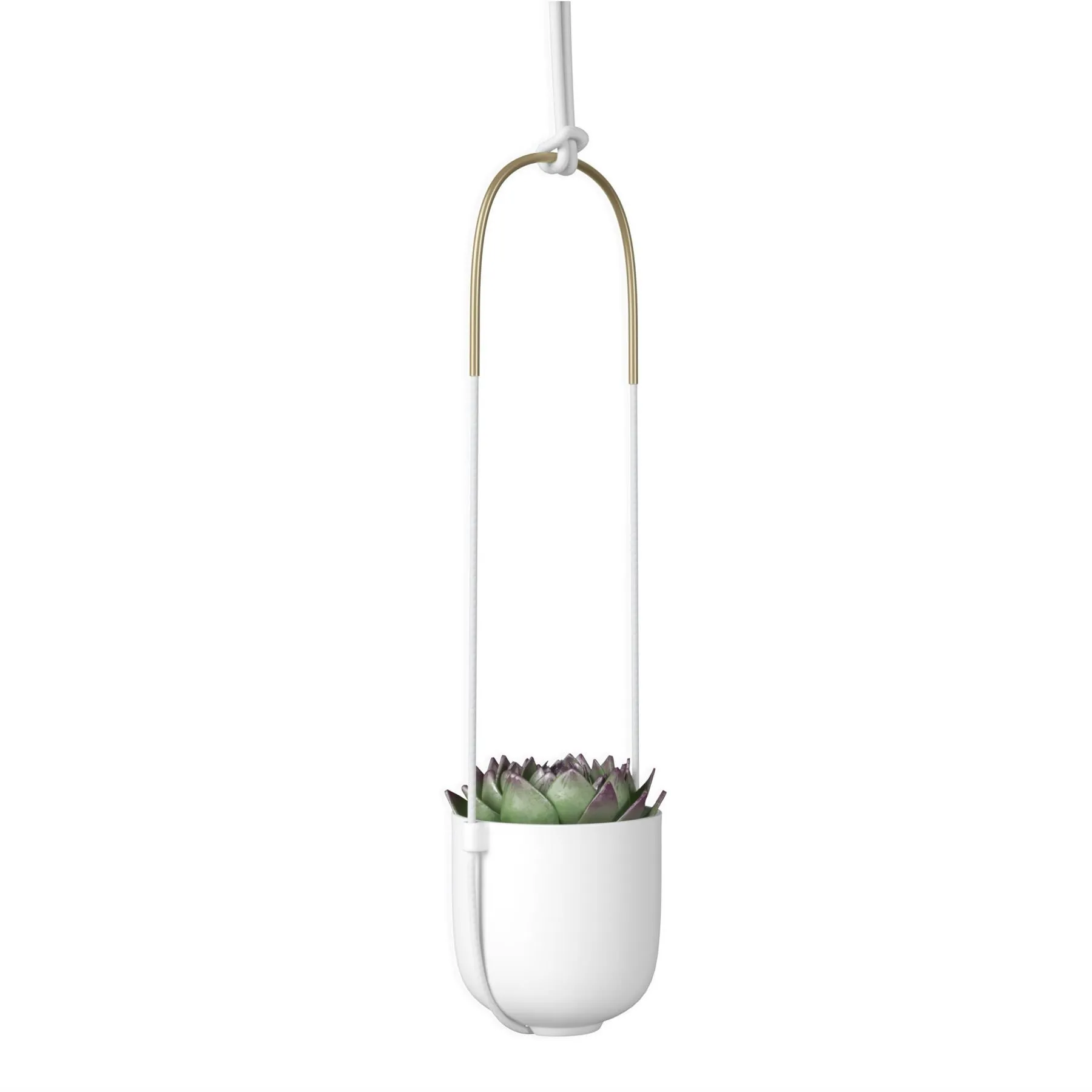 Umbra Bolo Indoor Hanging Planter